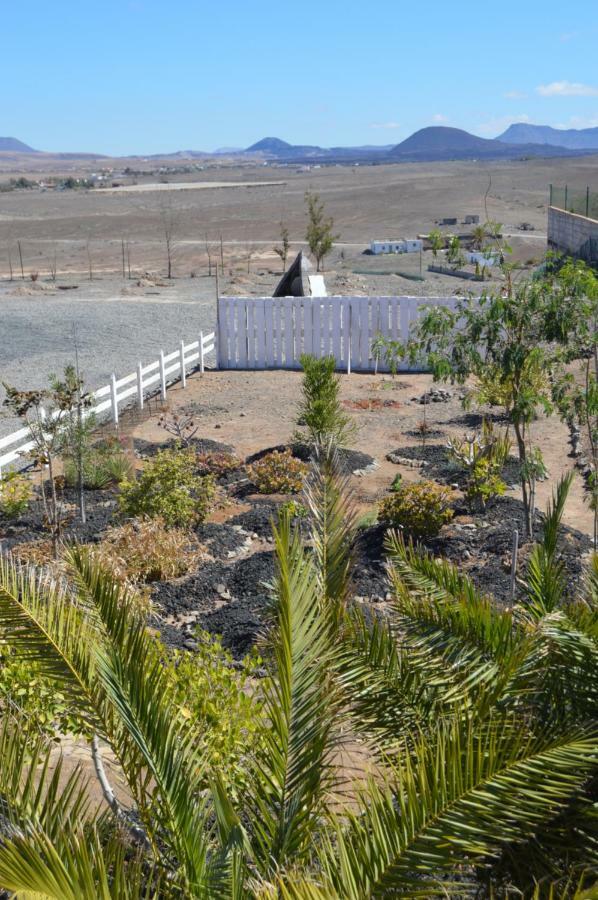 Estudio Rural La Rosa Herrera Tuineje Eksteriør billede